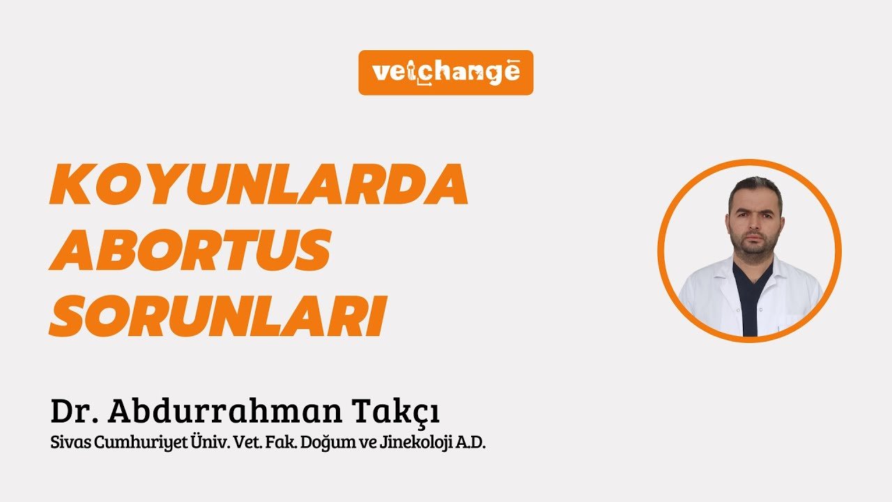 Koyunlarda Abortus Sorunları - Dr. Öğr. Üyesi Abdurrahman Takçı